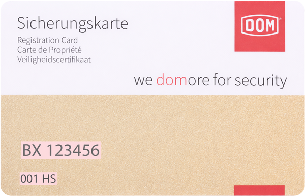 DOM Plura SKG3 cilinder